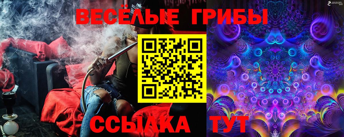 Галлюциногенные грибы GOLDEN TEACHER Ишимбай