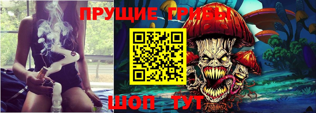 Псилоцибиновые грибы прущие грибы  Вход с VPN  Ишимбай  Галлюциногенные грибы Psilocybe 
